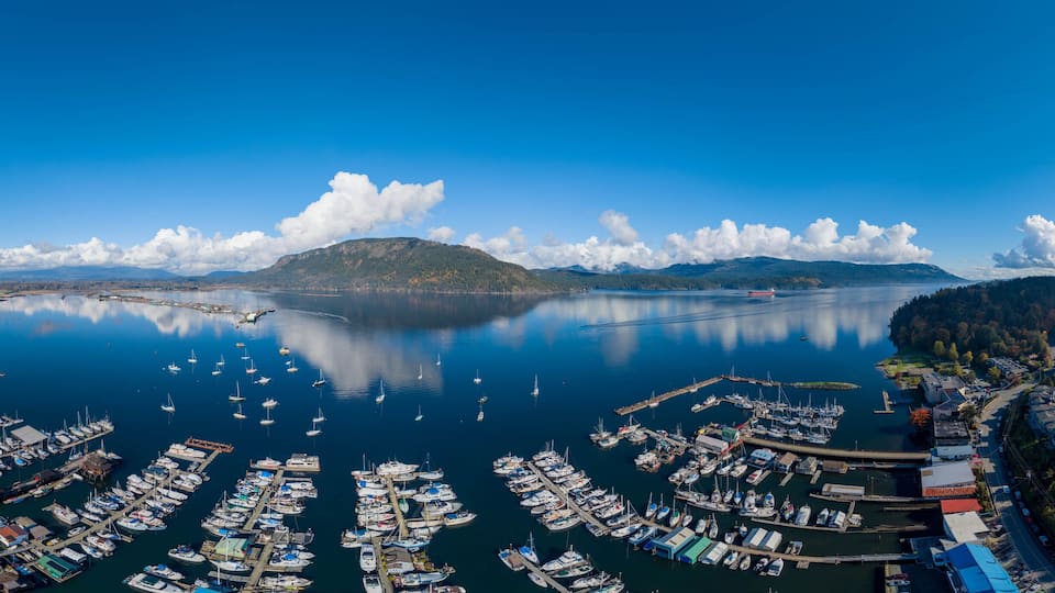 A marina with numerous boats docked, surrounded by a forested area and a mountain in the distance.