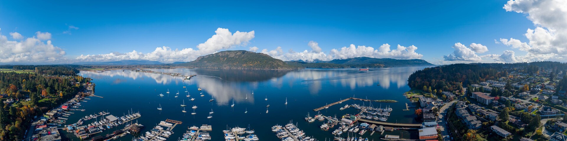 Uma marina com vários barcos atracados, rodeada por uma área arborizada e uma montanha ao fundo.