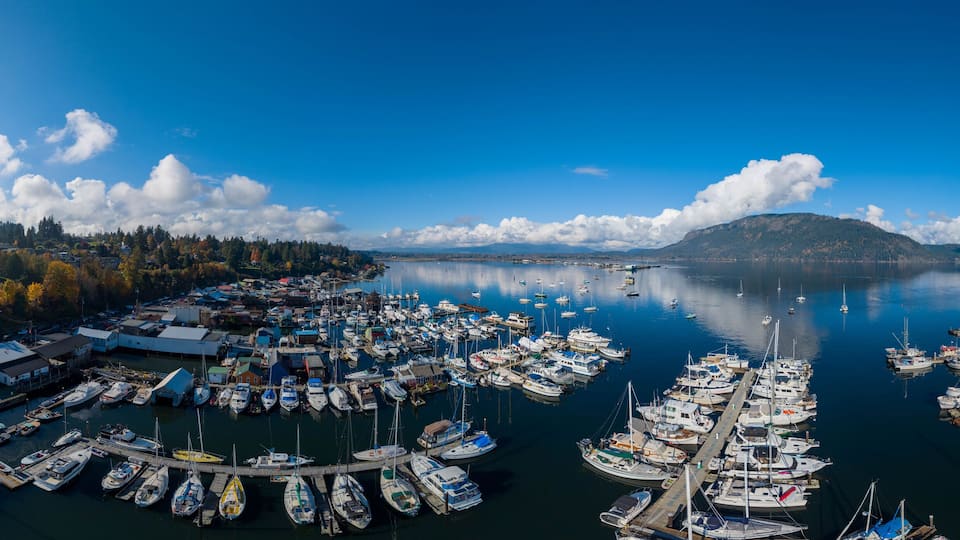 A marina with numerous boats docked, surrounded by a forested area and a mountain in the distance.