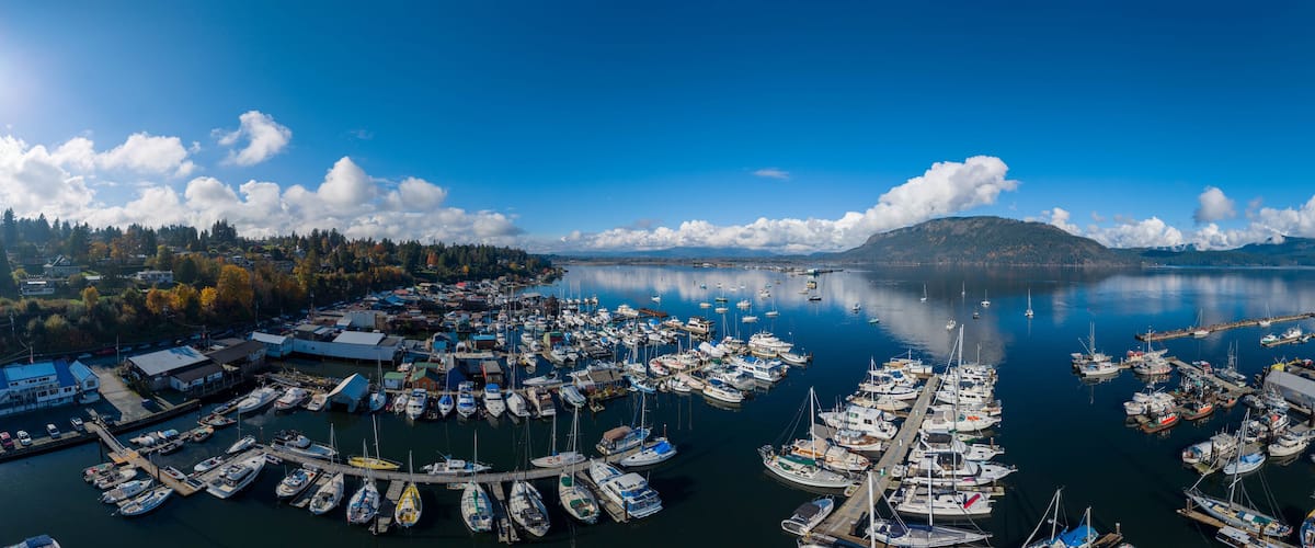 A marina with numerous boats docked, surrounded by a forested area and a mountain in the distance.