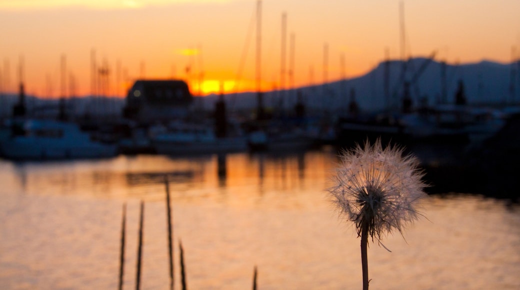 Cowichan Bay montrant bateau et paysages cĂŽtiers