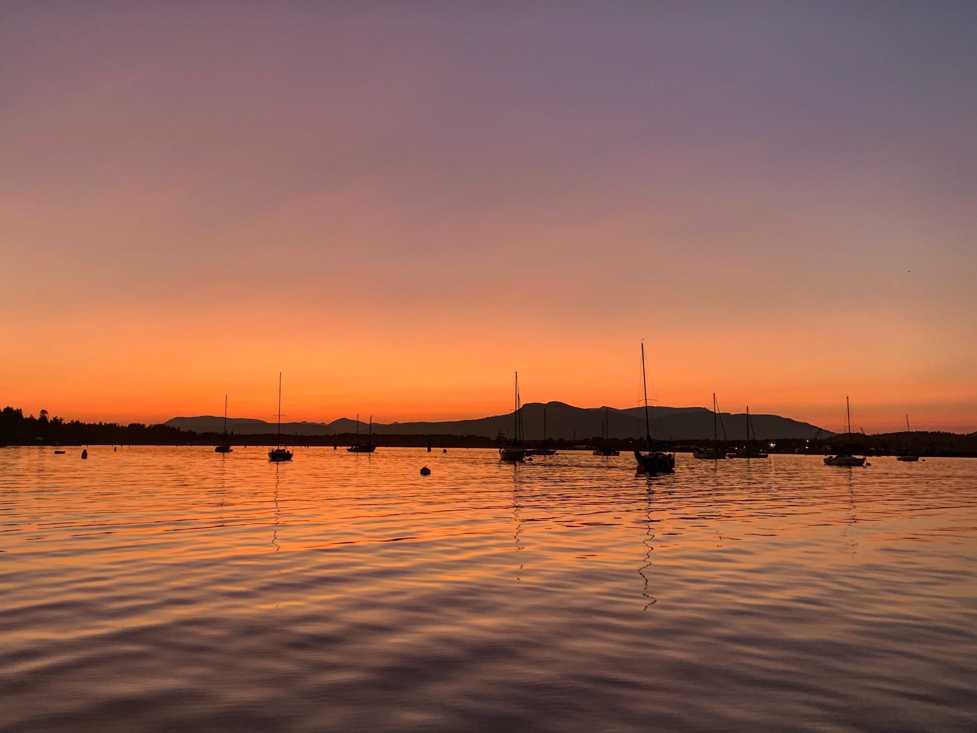 A calm lake at sunset with several sailboats anchored.