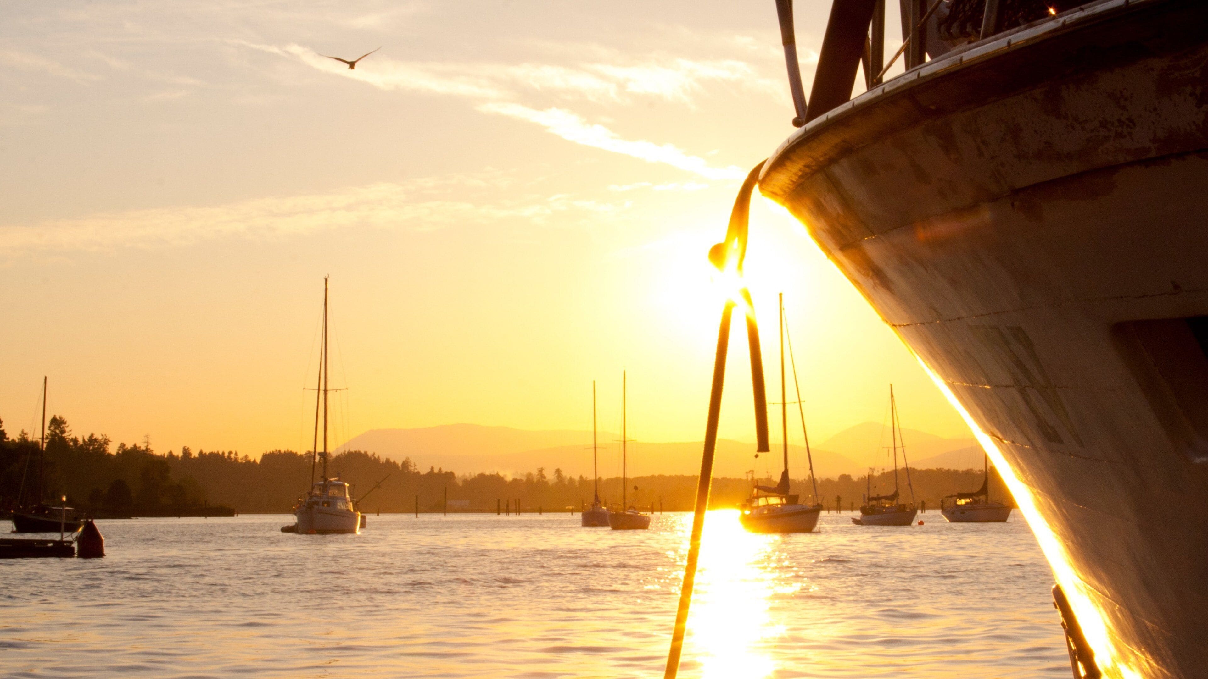 A sunset over a harbor with boats and a sailboat silhouetted against the sky.