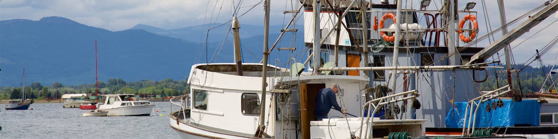Cowichan Bay showing a bay or harbour