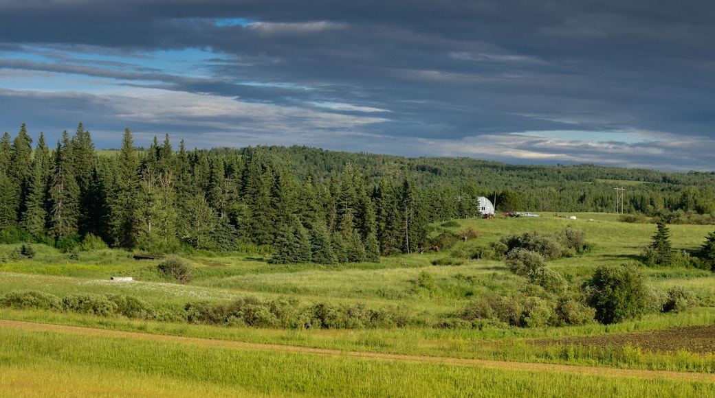 paisaje rural en Edson Alberta Canada, con una pequeña casa de campo, en medio del bosque en un día lluvioso de verano con nubes llenas de agua, un cielo azul intenso .