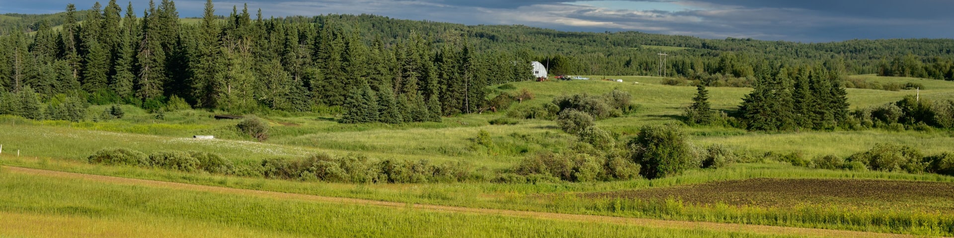 paisaje rural en Edson Alberta Canada, con una pequeña casa de campo, en medio del bosque en un día lluvioso de verano con nubes llenas de agua, un cielo azul intenso .