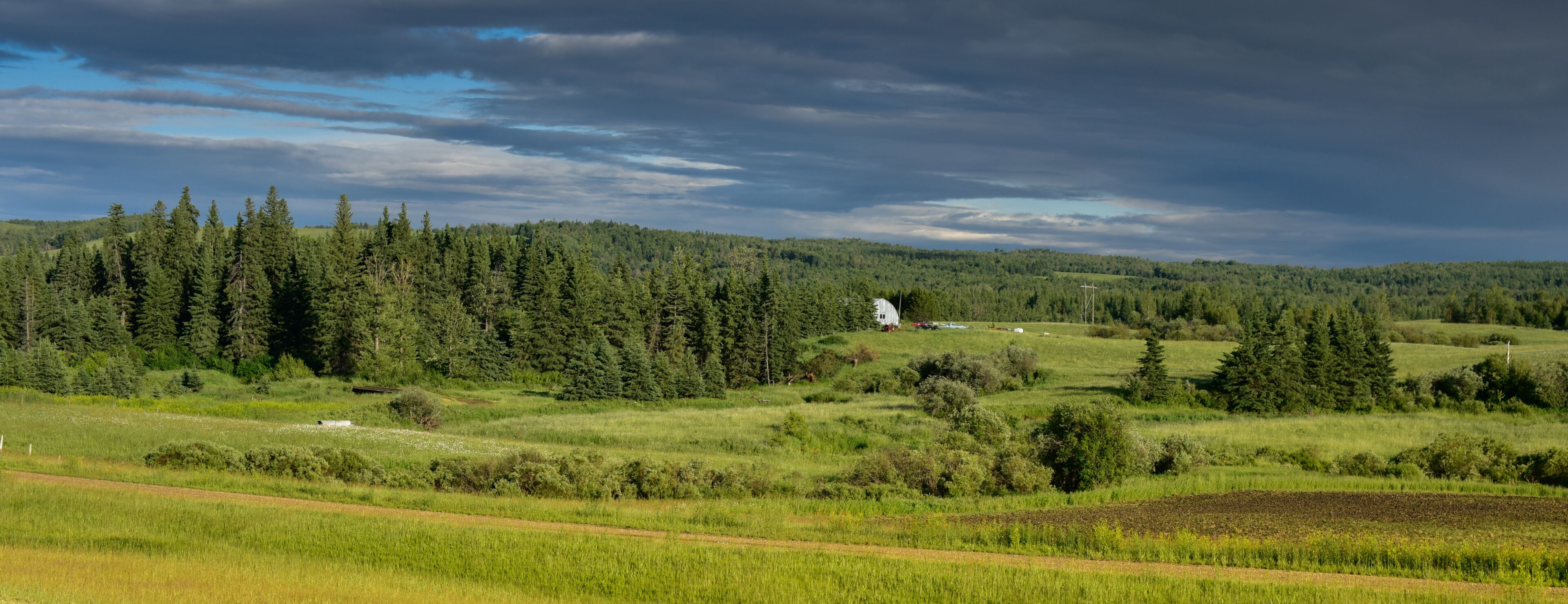 A rural landscape with a dense forest, rolling hills, and a white building in the distance.
