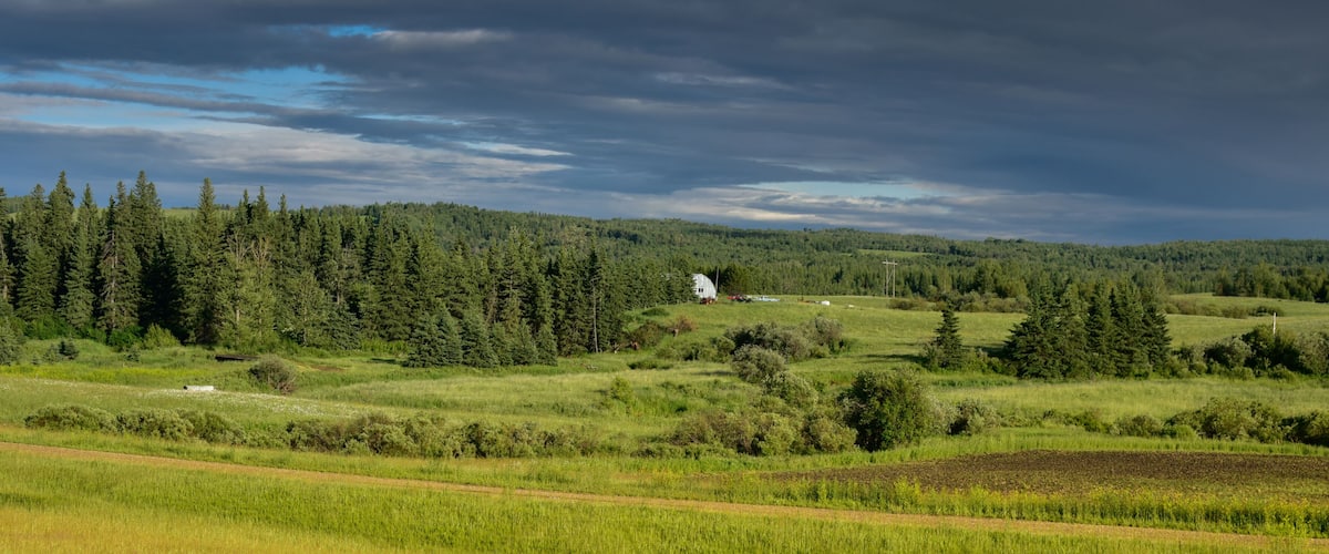 A rural landscape with a dense forest, rolling hills, and a white building in the distance.