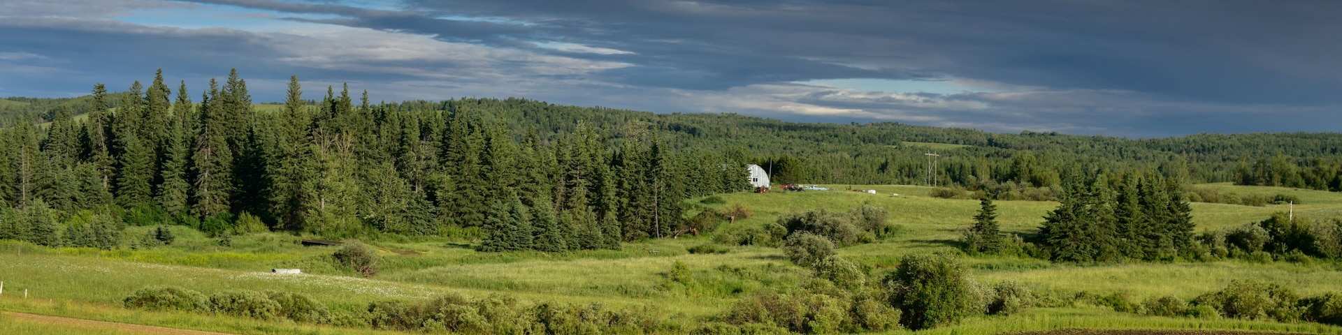 A rural landscape with a dense forest, rolling hills, and a white building in the distance.