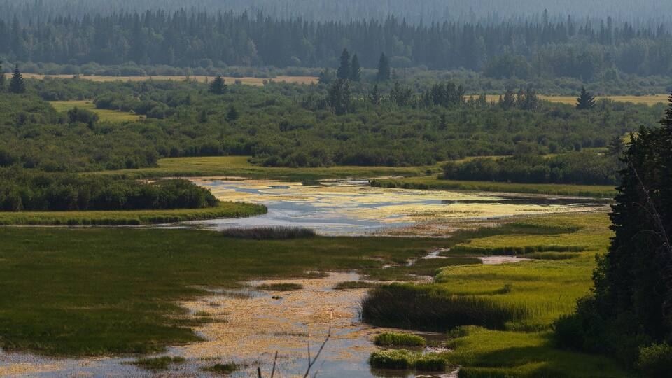 A river meandering through a lush green landscape with dense forests in the background.