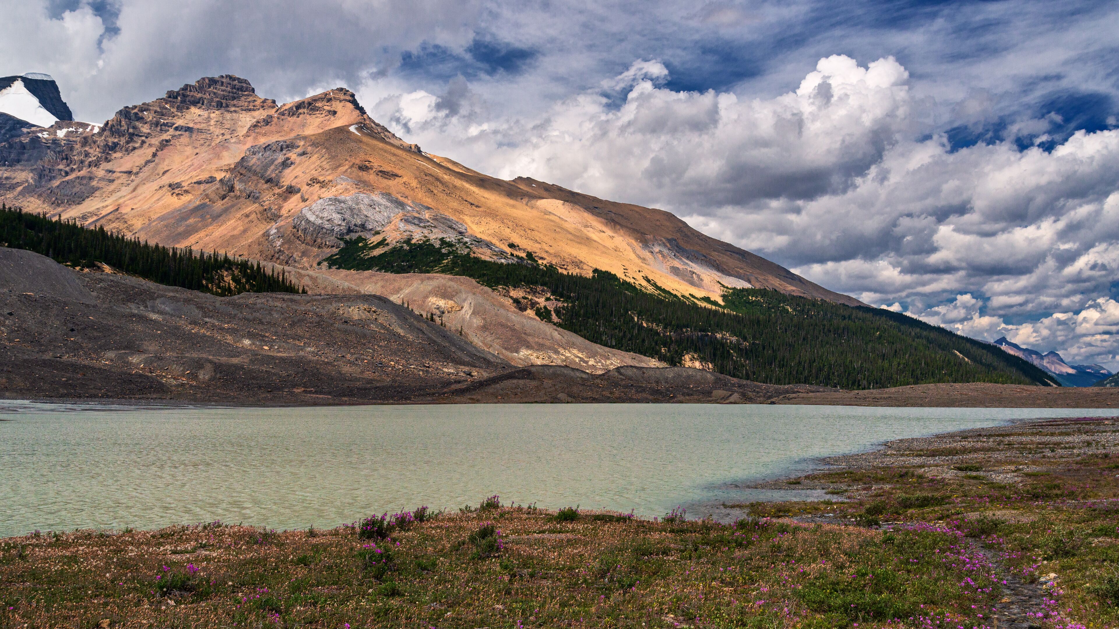 nature scenarios along the YellowHead Highway from Hinton to Jasper, Alberta, Canada