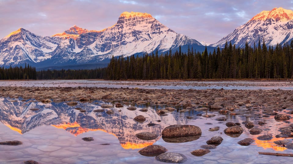 A mountain range with snow-capped peaks, a forest of evergreen trees, and a calm body of water reflecting the mountains.