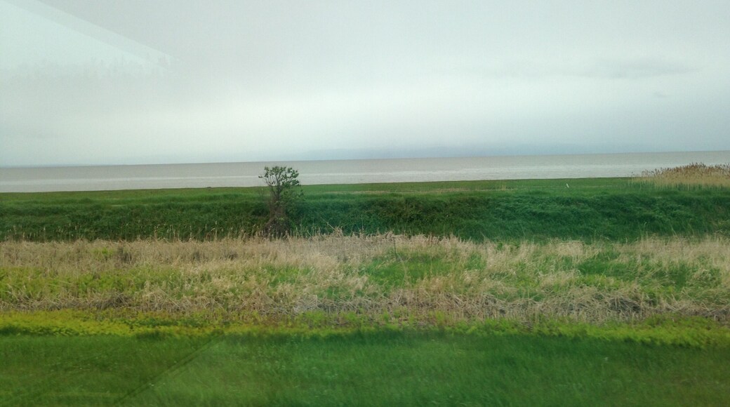 Driving on highway 20 through Quebec. View of St-Lawrence River (June 2015)