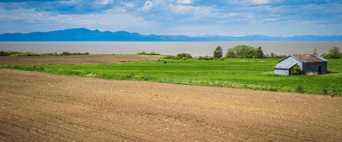 A rural landscape with a small house, green fields, and mountains in the distance.