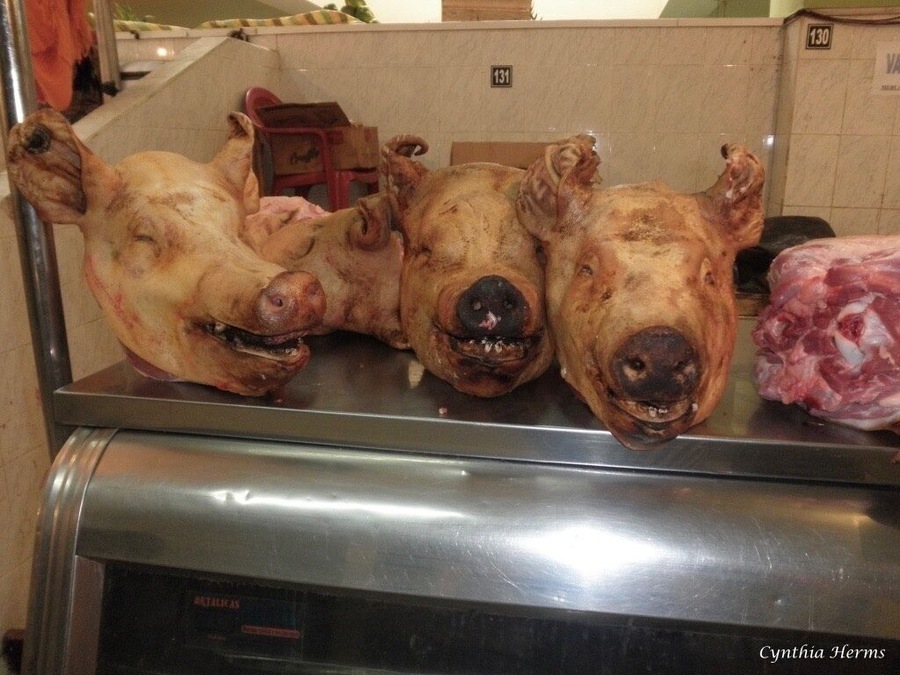 All the little piggies go to market.
The main market in Ibarra. #Ecuador #Ibarra #backpackingthroughEcuador