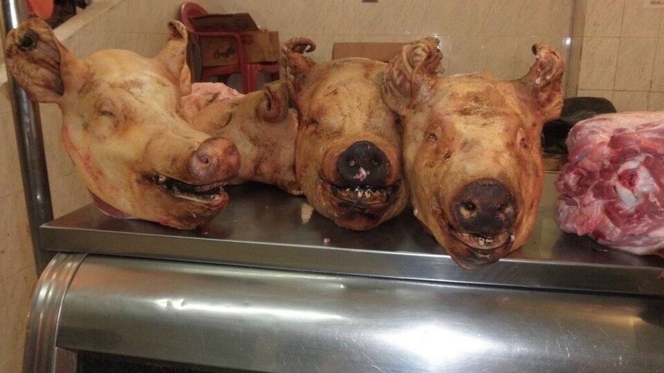 Three roasted pig heads on a stainless steel counter.