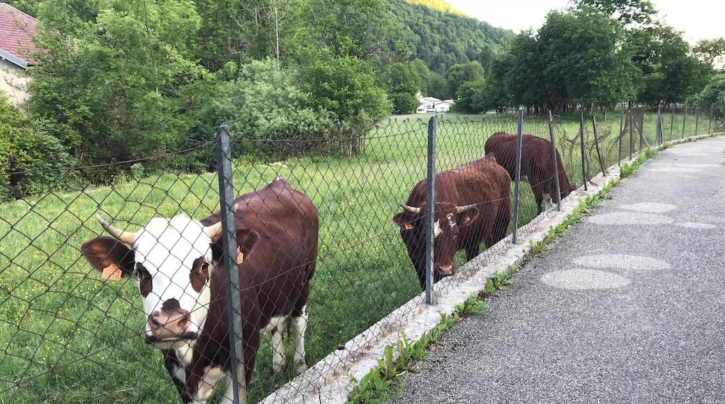 Quartier de Geilles à Oyonnax dans l'Ain en France.