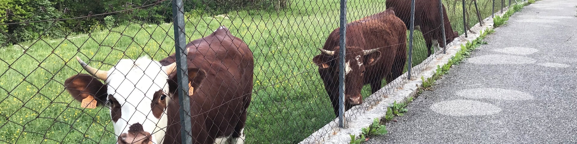 Quartier de Geilles à Oyonnax dans l'Ain en France.