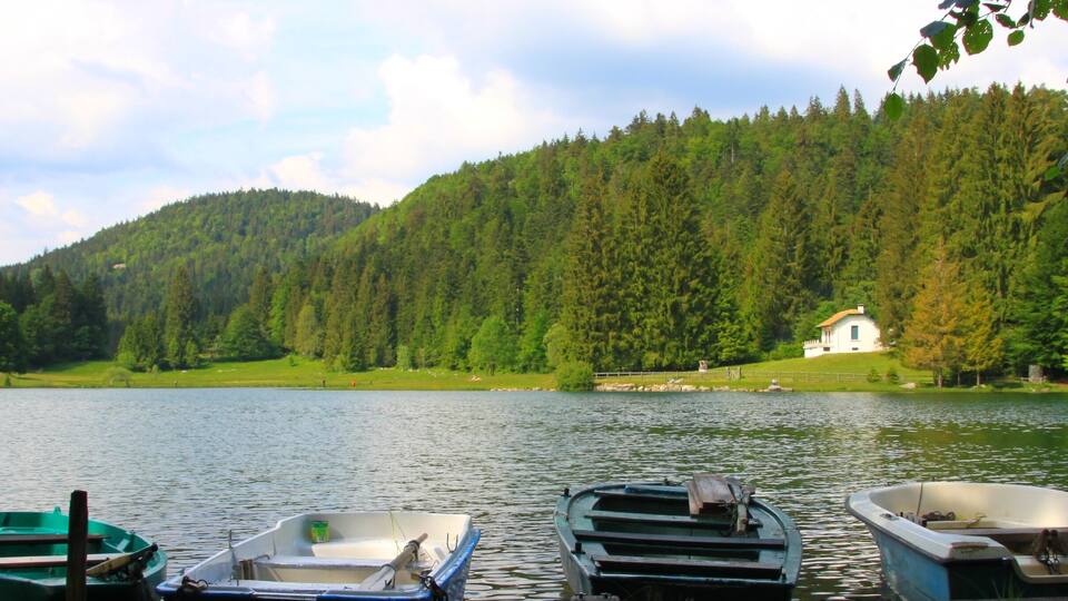 A lake with several boats docked, surrounded by dense forest and a white house on a hill.