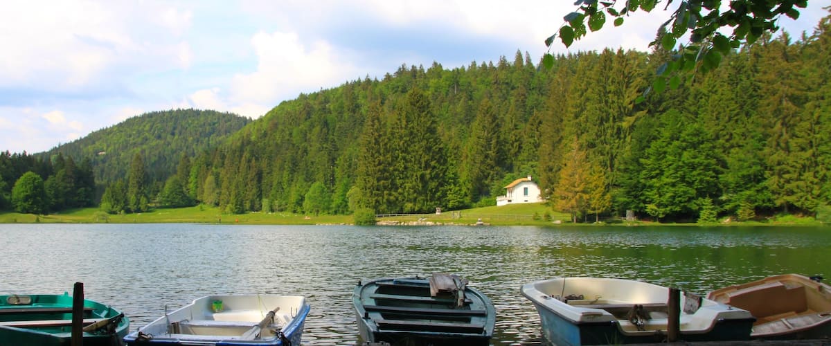 A lake with several boats docked, surrounded by dense forest and a white house on a hill.