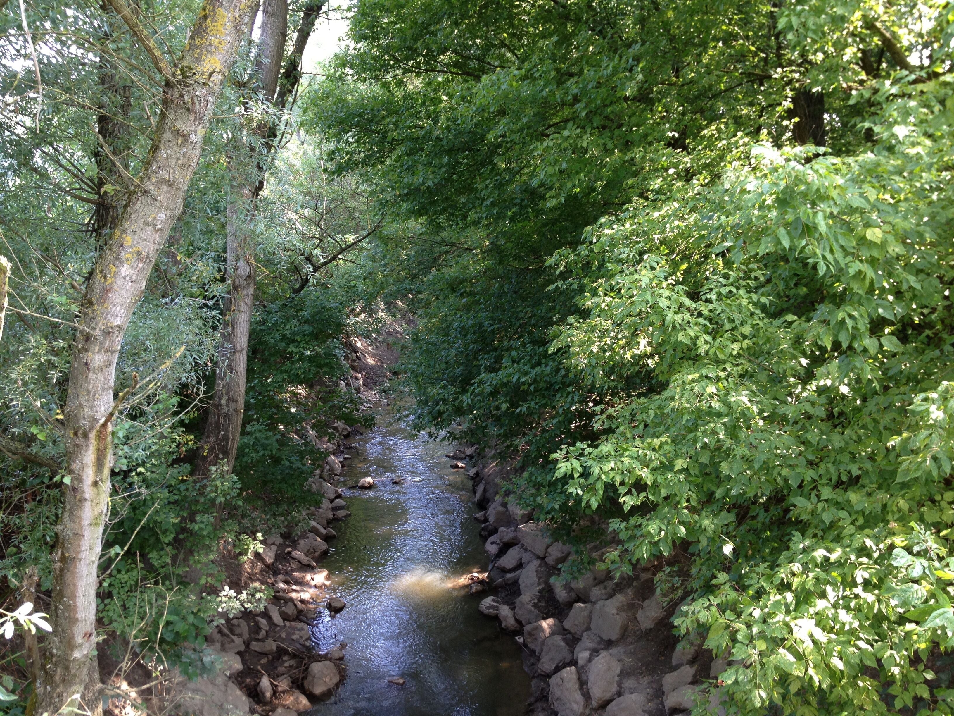 La Sereine peu avant son embouchure.