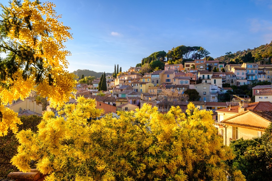 Panoramic view on the village of Bormes les Mimosas, Provence, France in the winter. Trees of mimosa in the foreground., Shutterstock ID 1013126686, Purchase Order: -