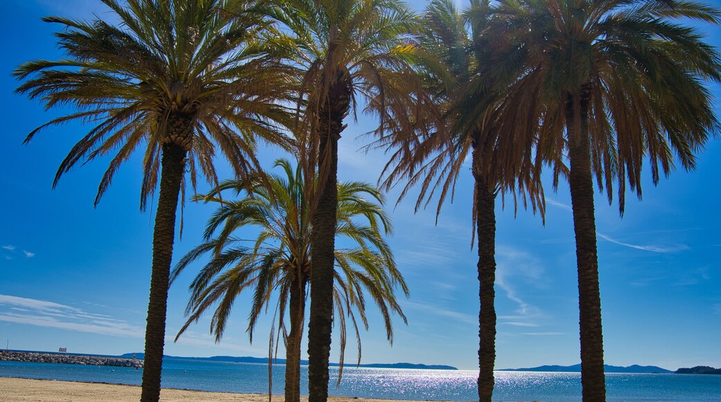 Strand bei Bormes les Mimosas in Südrankreich