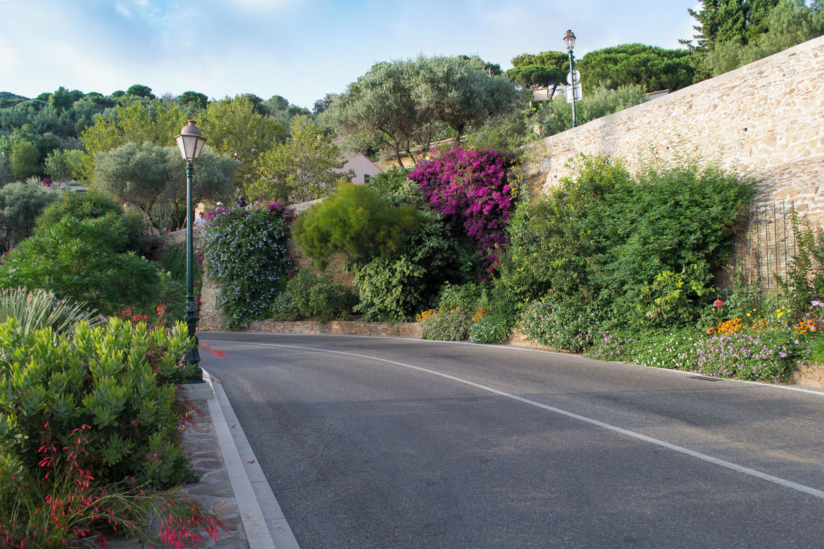 Street trough Bormes-les-Mimosas, France