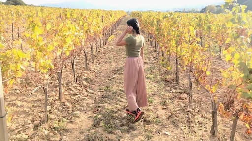 Grape is out of season