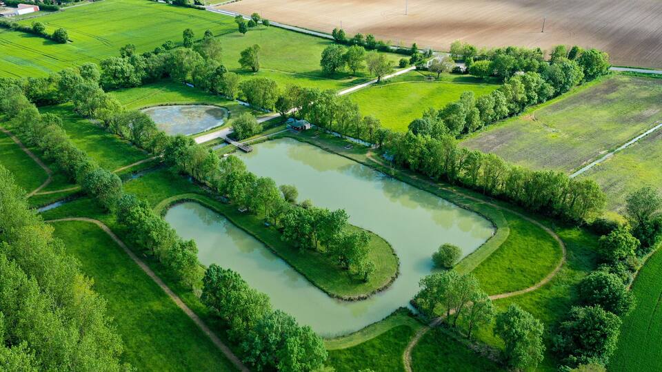 An aerial view of a rural landscape with a pond, surrounding greenery, and agricultural fields.