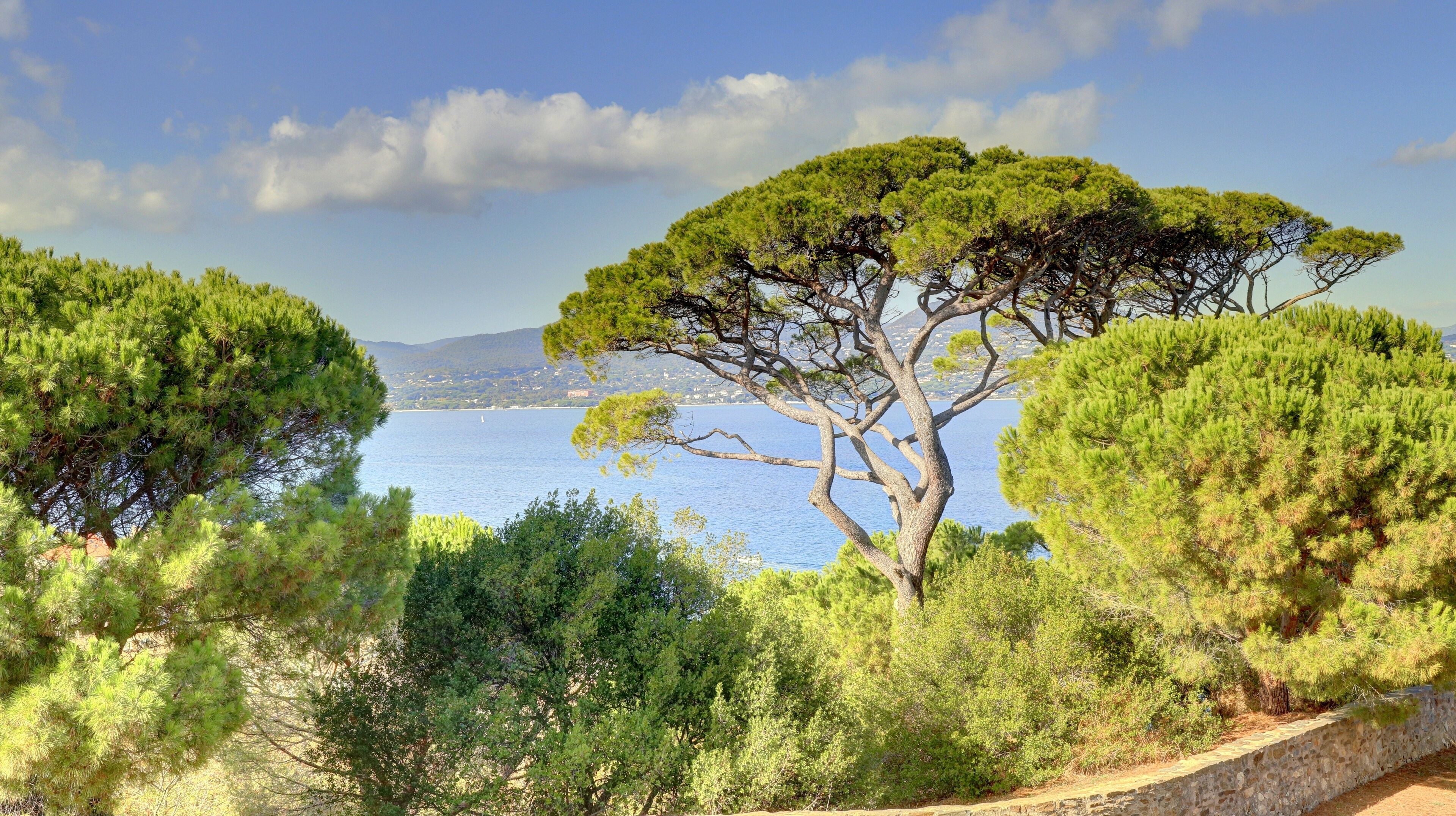 Saint-Tropez sur la french Riviera dans le Var, sud de la France