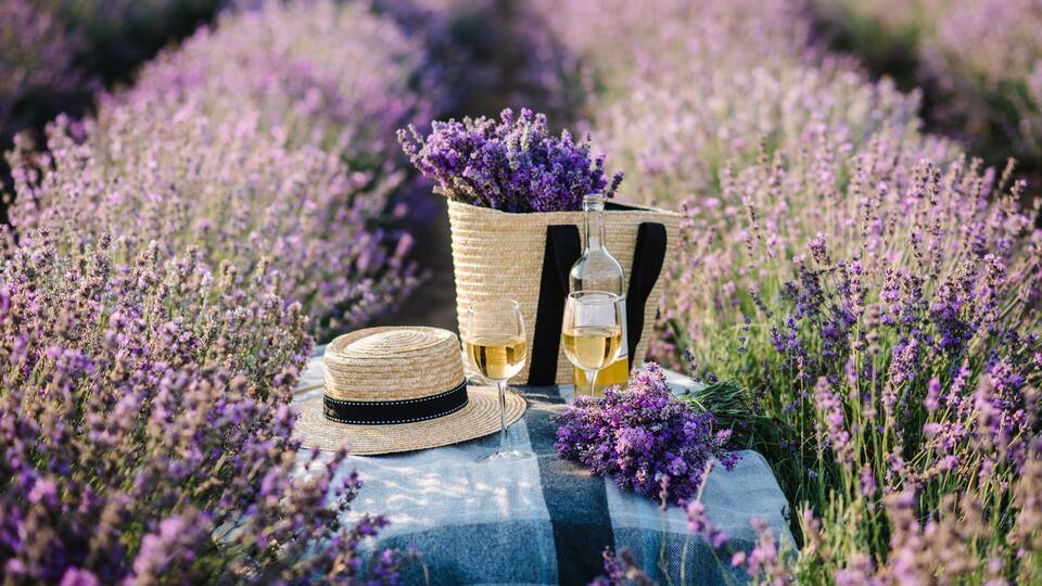 A straw hat, a bottle, glasses, and a basket of lavender on a table in a field of lavender.