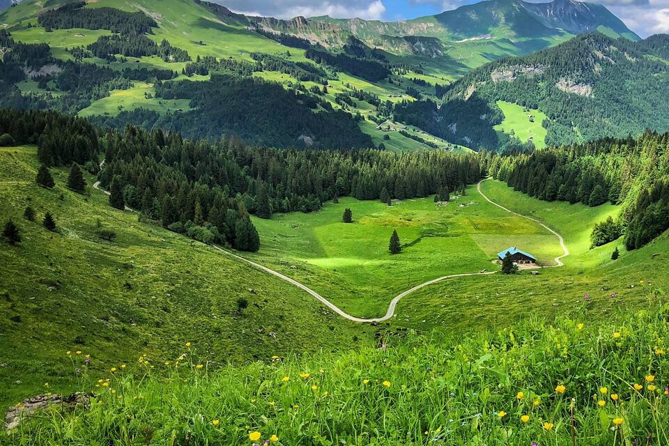 A mountainous landscape with a winding road, green fields, and scattered trees.