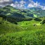 #Trovember —The intense green of early summer in the French Alps—a balm for the eyes, especially when you live in Arizona... The trails near La Clusaz are a hiker’s dreams, with chalets, goats, and forever views...