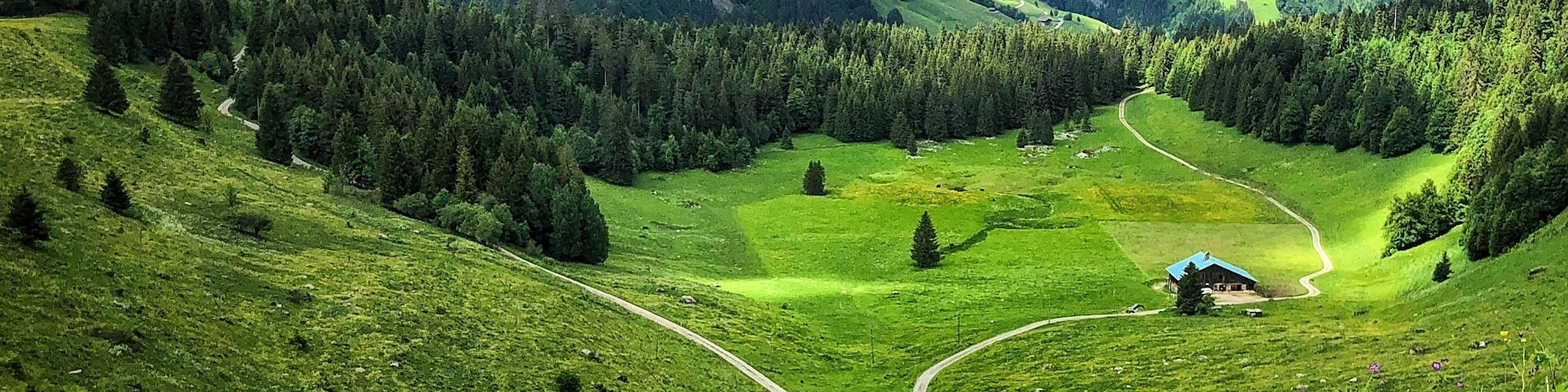 #Trovember —The intense green of early summer in the French Alps—a balm for the eyes, especially when you live in Arizona... The trails near La Clusaz are a hiker’s dreams, with chalets, goats, and forever views...