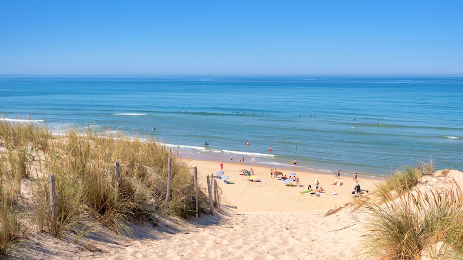 Panorama of the dune and the beach of Lacanau, atlantic ocean, France
