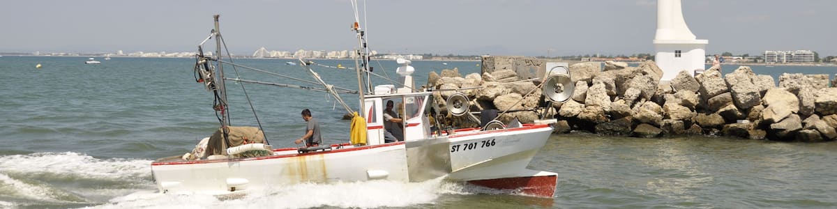 arriving at Le Grau-du-Roi