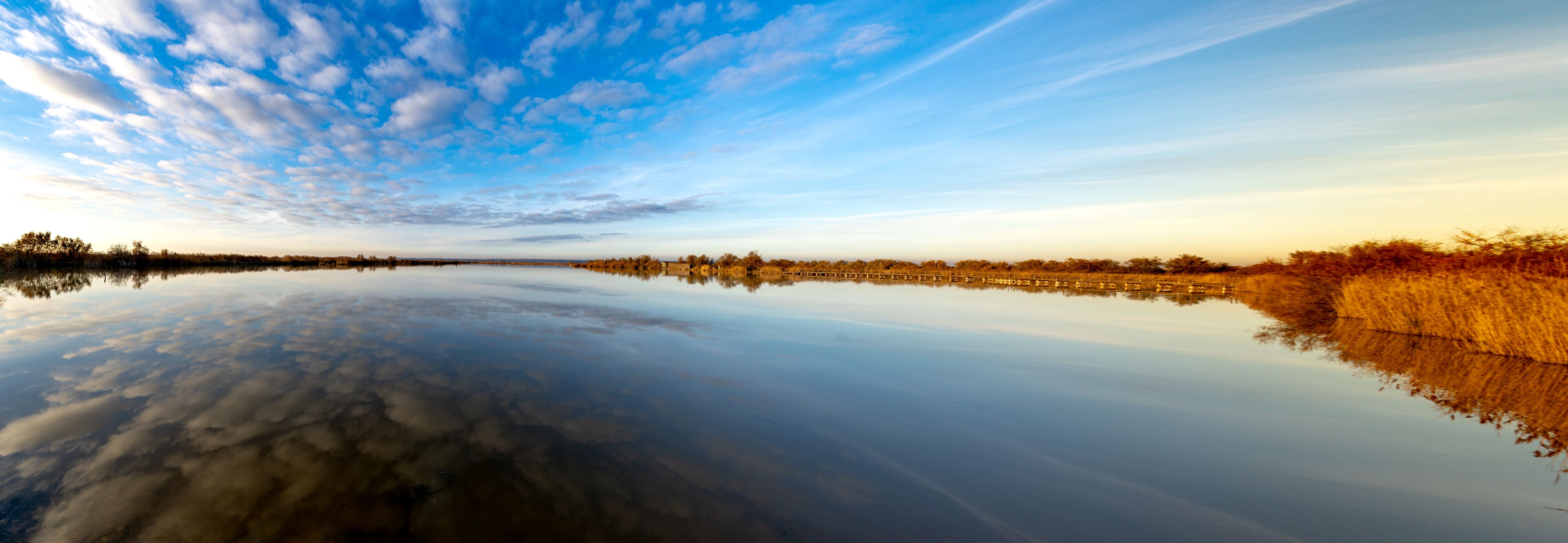 لو جراو دو روي