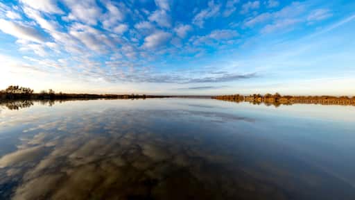 لو جراو دو روي