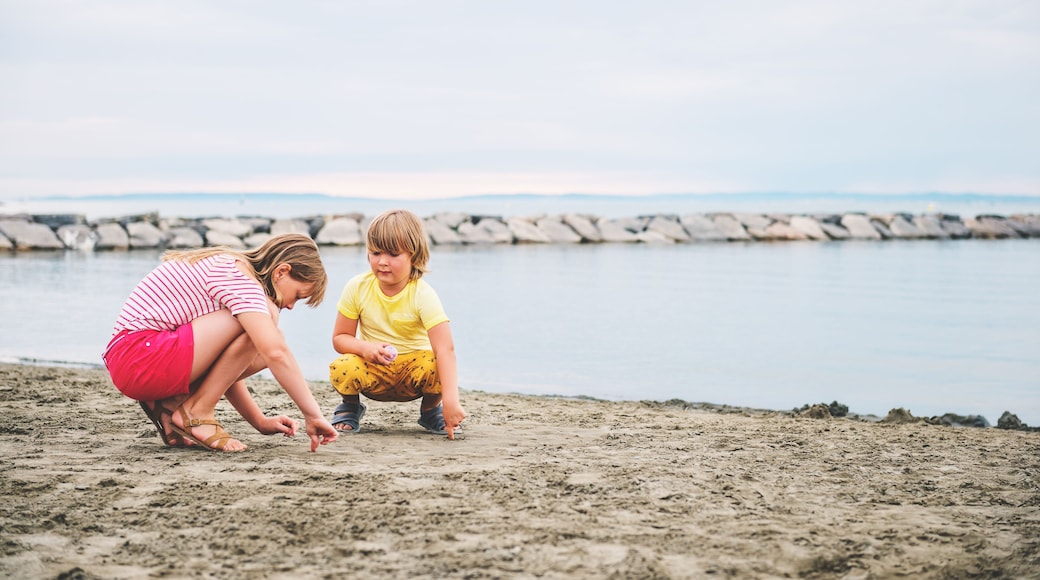 ๋ฅด ๊ทธ๋ก ๋ค ํ์