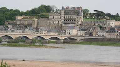Amboise et son château (Indre-et-Loire, Région Centre)