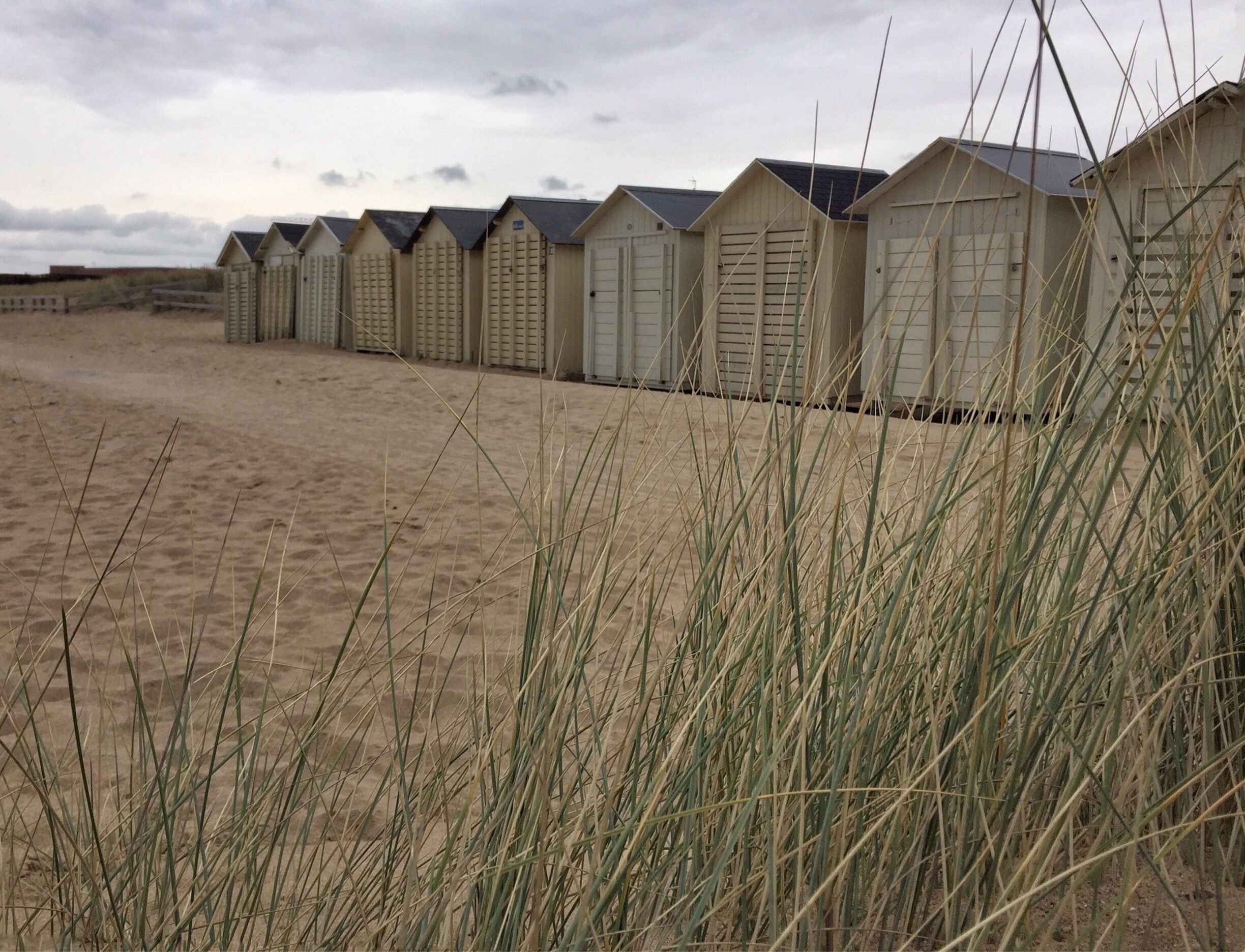 An other view.strongly the sun ☀️☀️☀️☀️