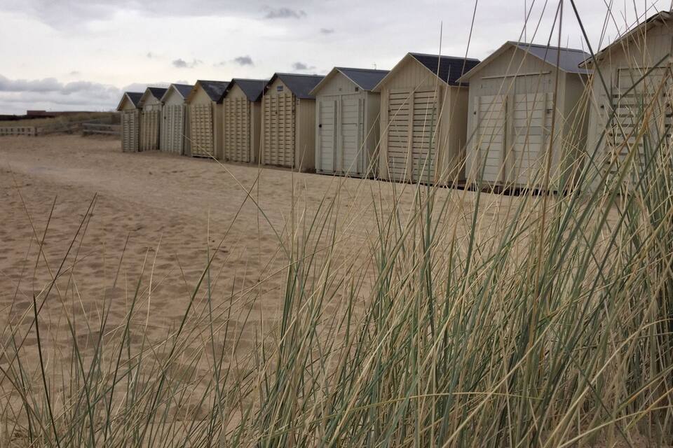Une rangée de cabanes de plage sur une plage de sable, avec de hautes herbes au premier plan.