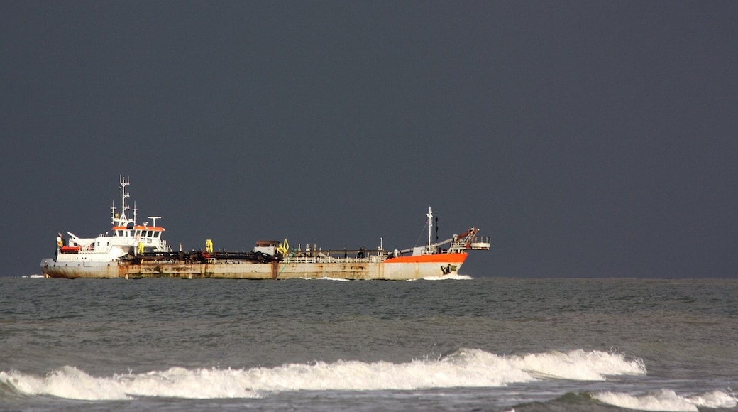 I like this type of daylight .