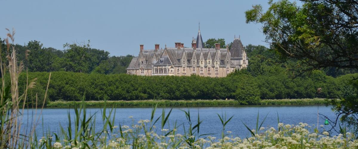 A large castle by a lake surrounded by greenery.