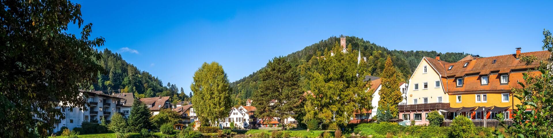 A serene lake with reflections of buildings and trees, surrounded by lush greenery and a hill with a tower.