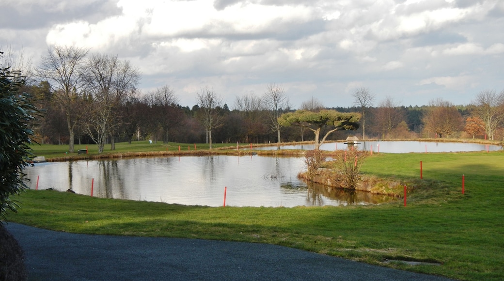 Golfclub Bad Liebenzell e.V