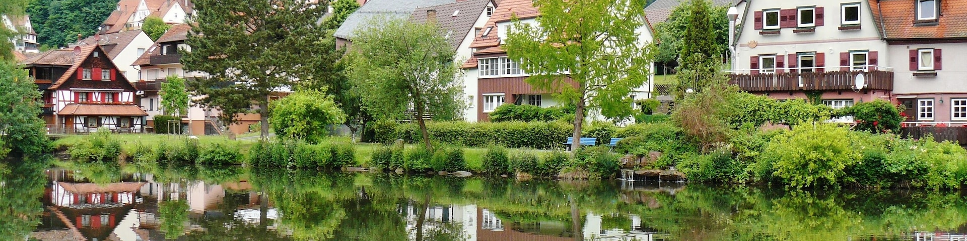 Stadtsee in Bad Liebenzell