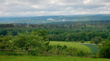 Ausblick vom Schwarzwald-SchwÀbische-Alb-AllgÀu-Weg (HW 5) bis zum Klinikum Nordschwarzwald