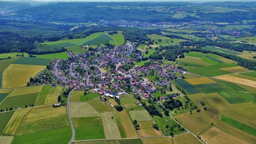 Luftaufnahme des gesamten Orts